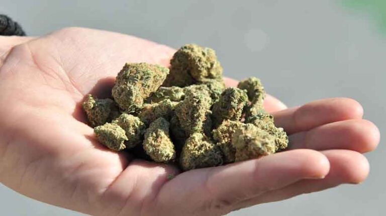 Consumidores de marihuana experimentan síntomas de abstinencia